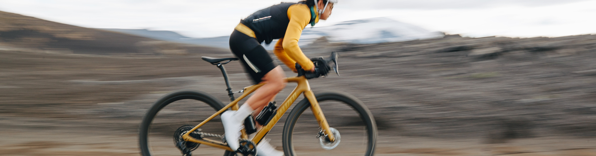 Fietsspeciaalzaak Roelofs