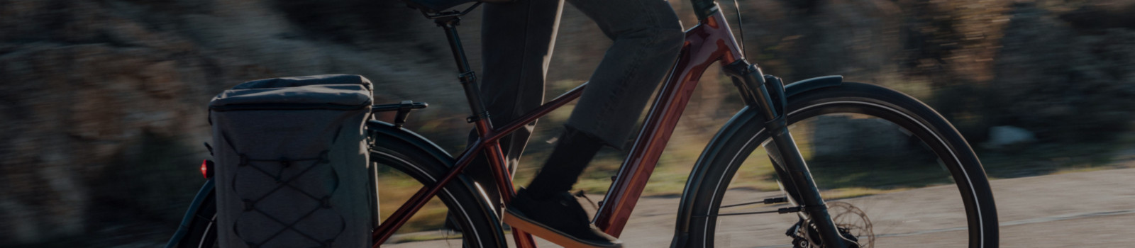Fietsspeciaalzaak Roelofs